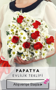 papatya
